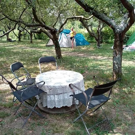 Venetian Ecocamping 营地 Casa Pontida
